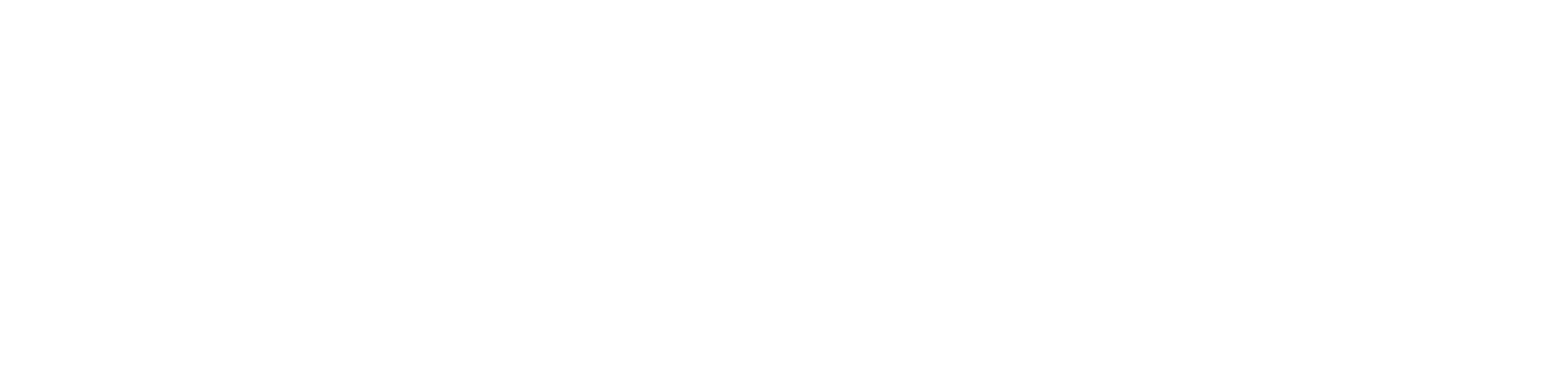 VRBTM Logo